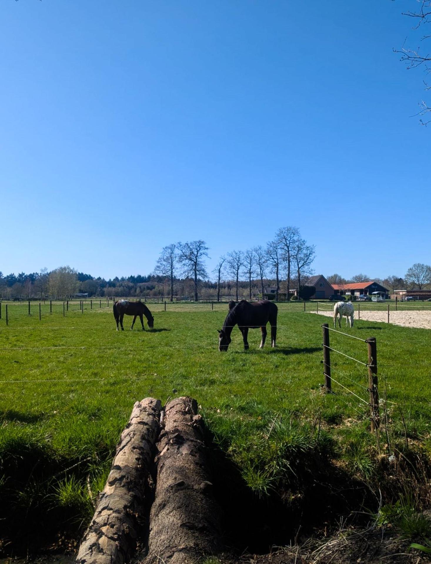 Hotel Chique Chalet Met Zicht Over De Weilanden Op De Veluwe Epe Exterior photo
